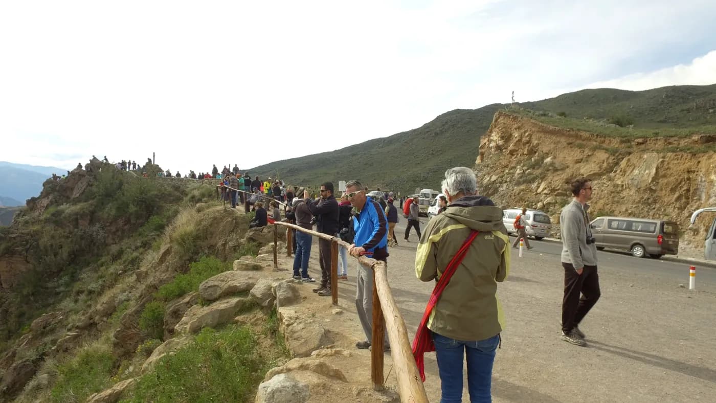 Waiting for the condors at the viewpoint