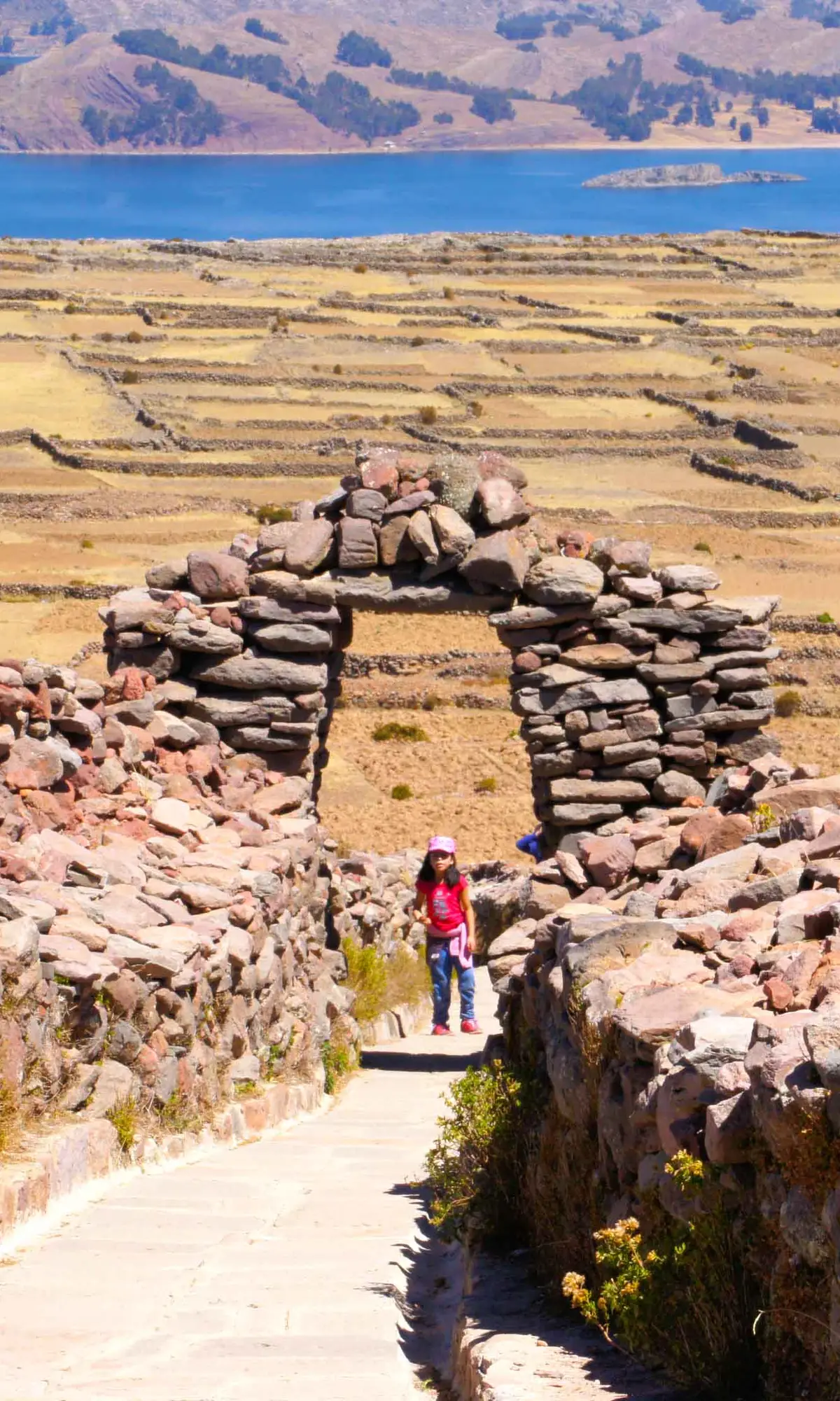 Amantani hillside with trees and stone walls above Lake Titicaca