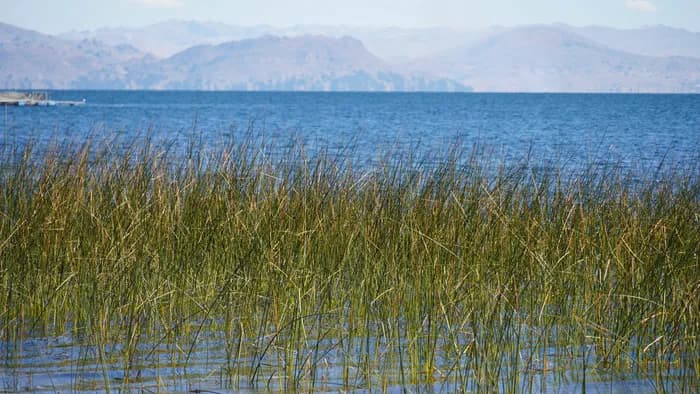 Tandem kayak paddling through the reed beds of Lake Titicaca